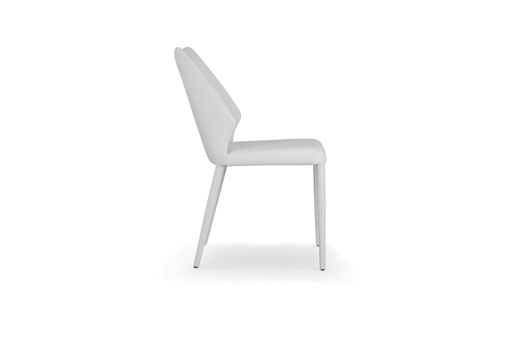 Pekoe Dining Chair-Set of Two