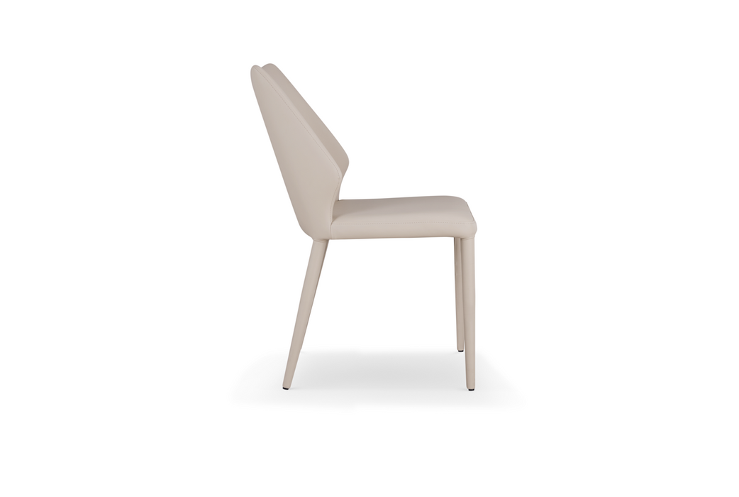 Pekoe Dining Chair-Set of Two